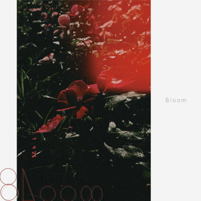Bloom