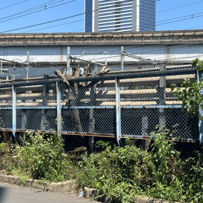 The Leap I Didn't Take