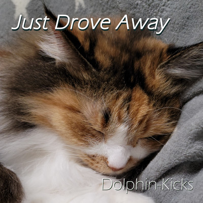Just Drove Away