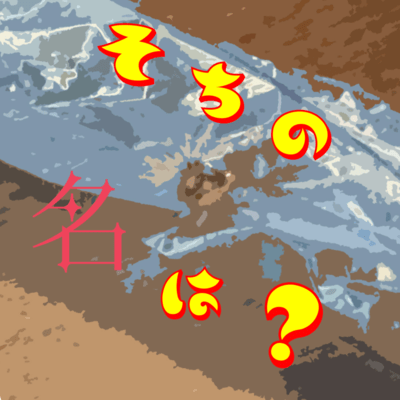 What Do You Think My Name Is?