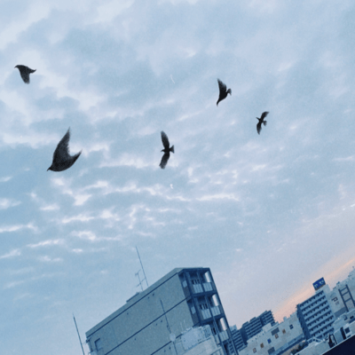 Karasu no sora