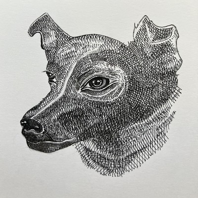 Laika