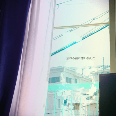 Remember before you forget