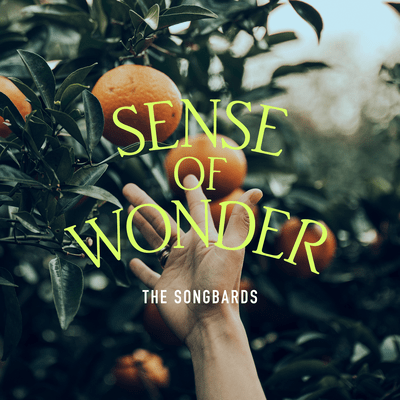 Sense of Wonder