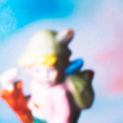 Lillian / Sansevieria