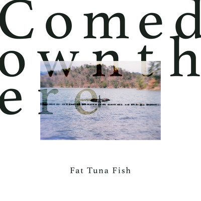 Fat Tuna Fish