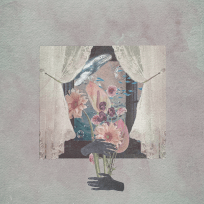 near a blackout window