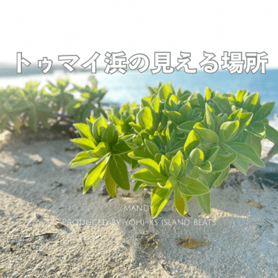 A Place with a View of Tumai Beach