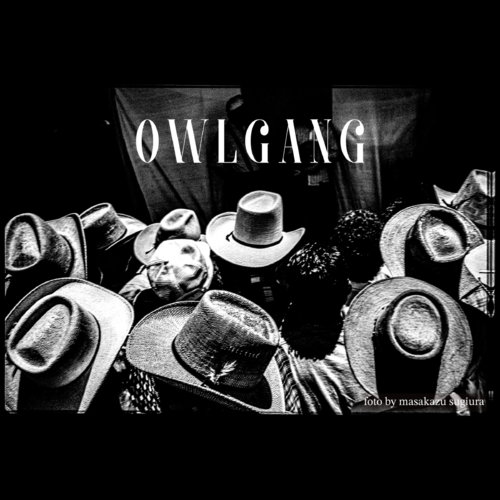 OWLGANG