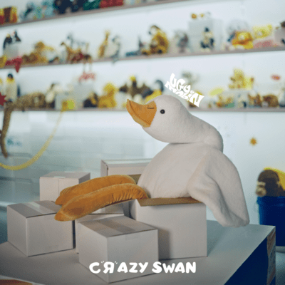 Crazy Swan
