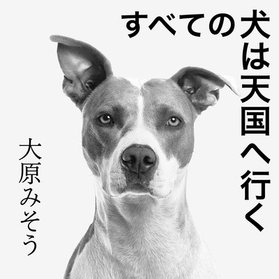 EVERY DOG GOES TO HEAVEN