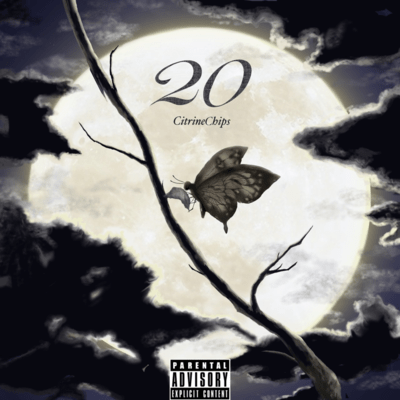 20
