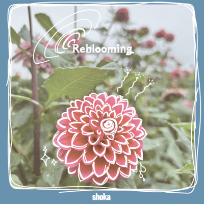 Reblooming
