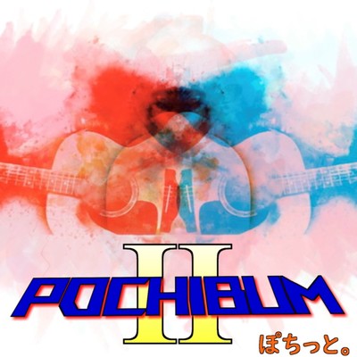 POCHIBUM2