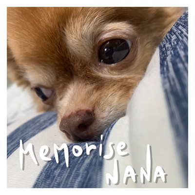 memories -NANA-