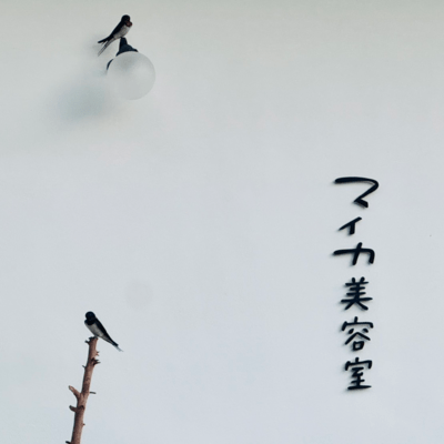 MICA hair salon song