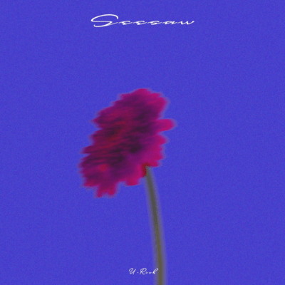 Seesaw