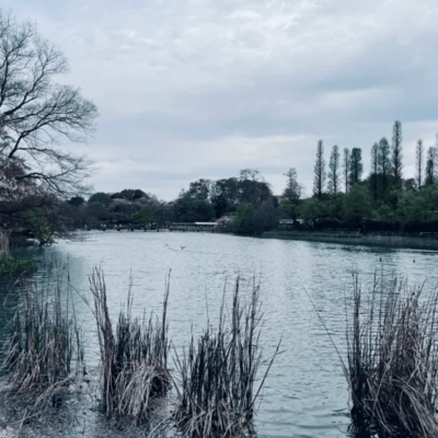 Spending A Long Night (feat. Natsuki Karin)