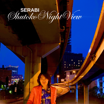 Shutoko Night View