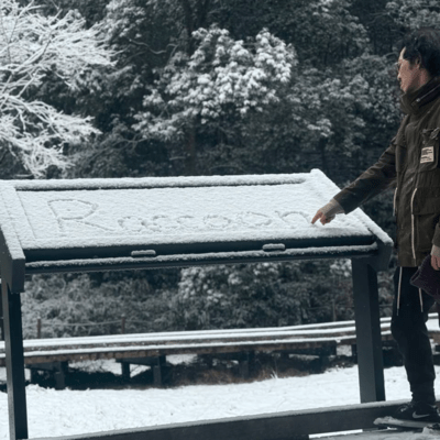 Raccoon
