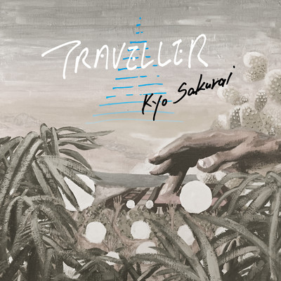 TRAVELLER