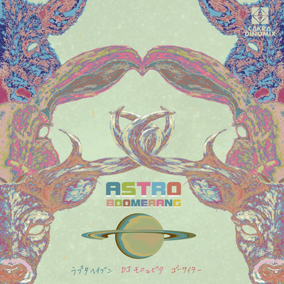 ASTRO BOOMERANG