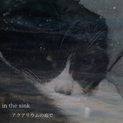 in the sink
