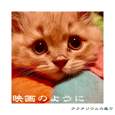eiganoyouni