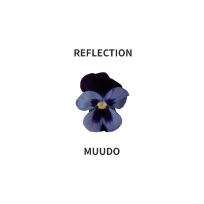 REFLECTION