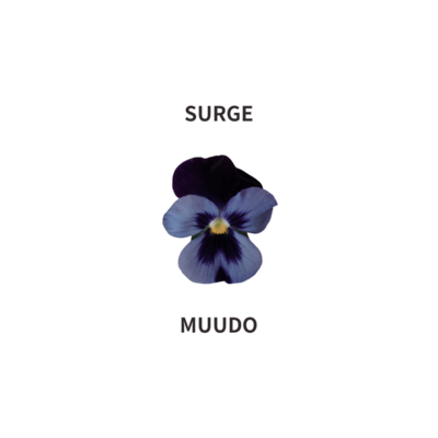 SURGE