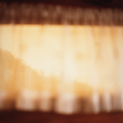 Poetics of Non-Savoir