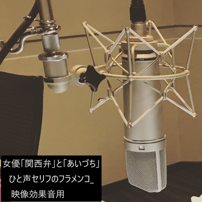 Actress "Kansai dialect" and "backchanneling" one-line dialogue for flamenco video sound effects.