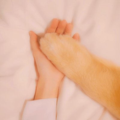 From the base of the Rainbow Bridge