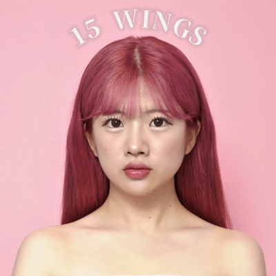 15 WINGS