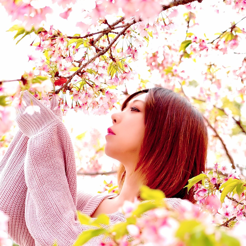 Mitsuki Takeshiro
