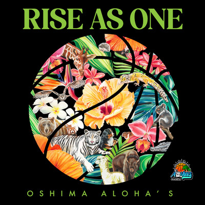 Oshima ALOHA'S Official Team Song RISE AS ONE