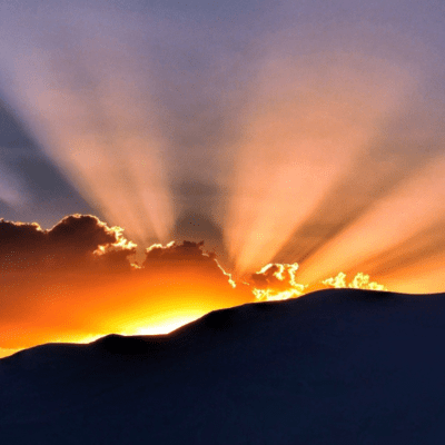 Dawn from the Pandemic