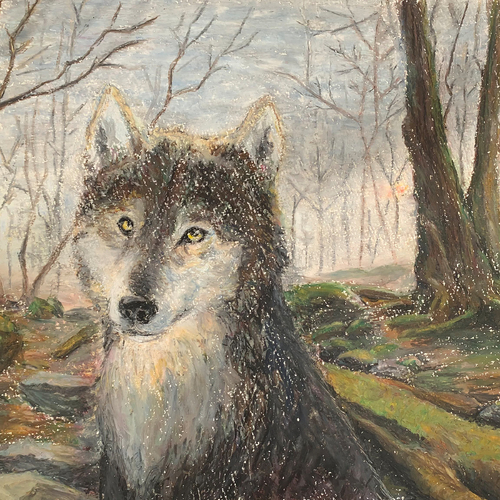Lupus