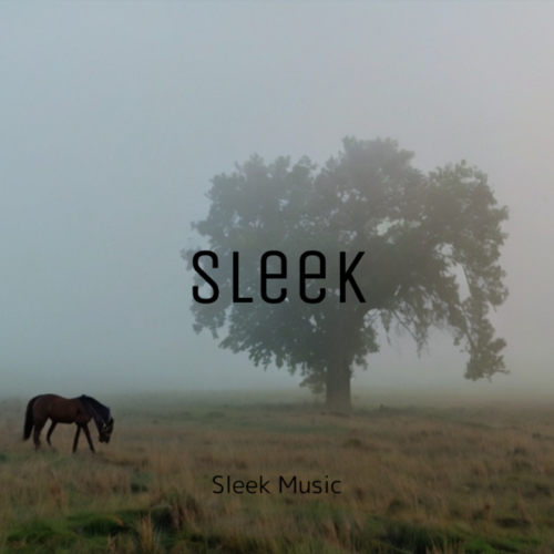 Sleek Music