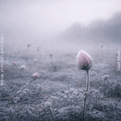 I Still Can't Let Go of Winter