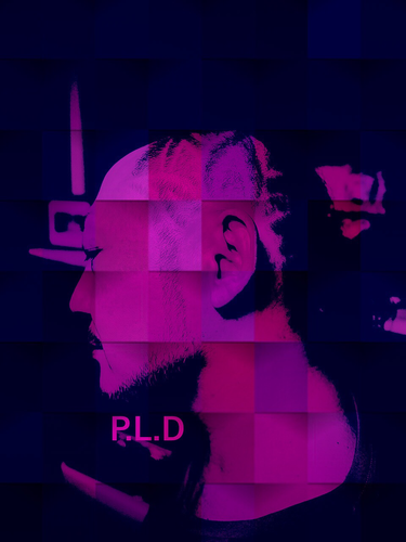 P.L.D Peace Love Distortion