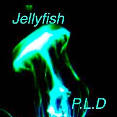 Jellyfish