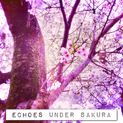 ECHOES UNDER SAKURA