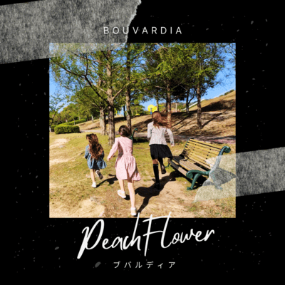 Bouvardia