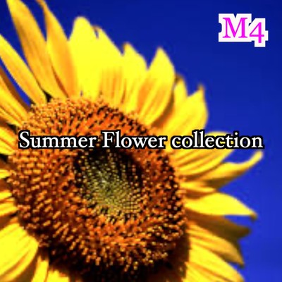 Summer Flower collection