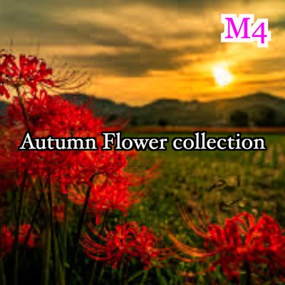 Autumn Flower collection