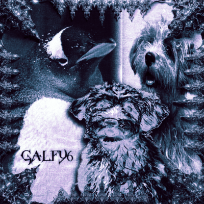 GALFY6