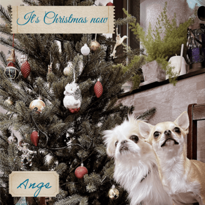 It's Christmas now