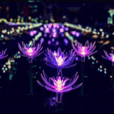 Your future is bright