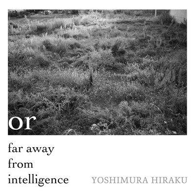 or far away from intelligence